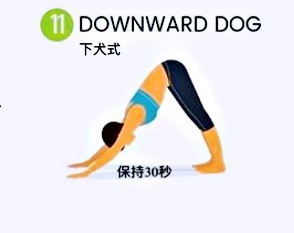 不让夏天赶跑的脂肪溜回来/瑜伽全身能量流动练习保持活力