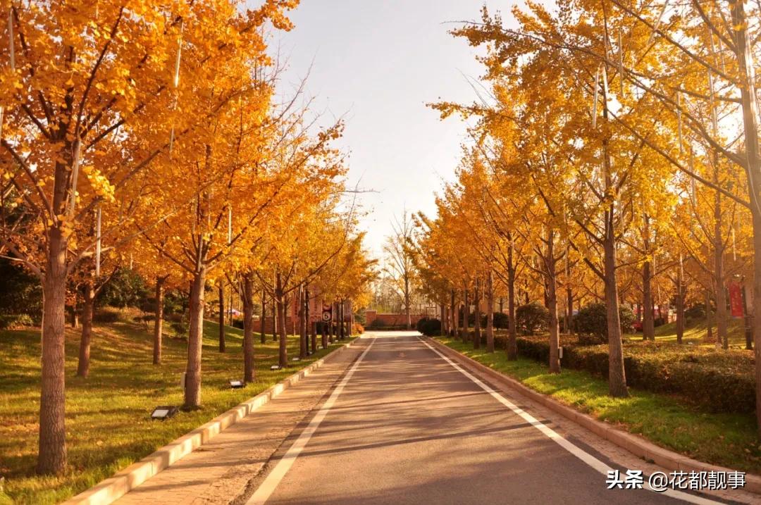 美丽泽州我的家,美丽我的家