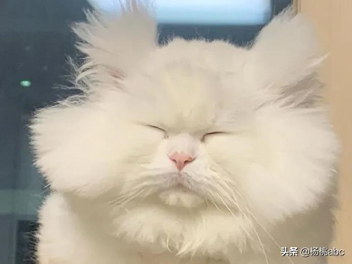 Letsgo!|这个地方竟然这么多综艺节目抢着去?