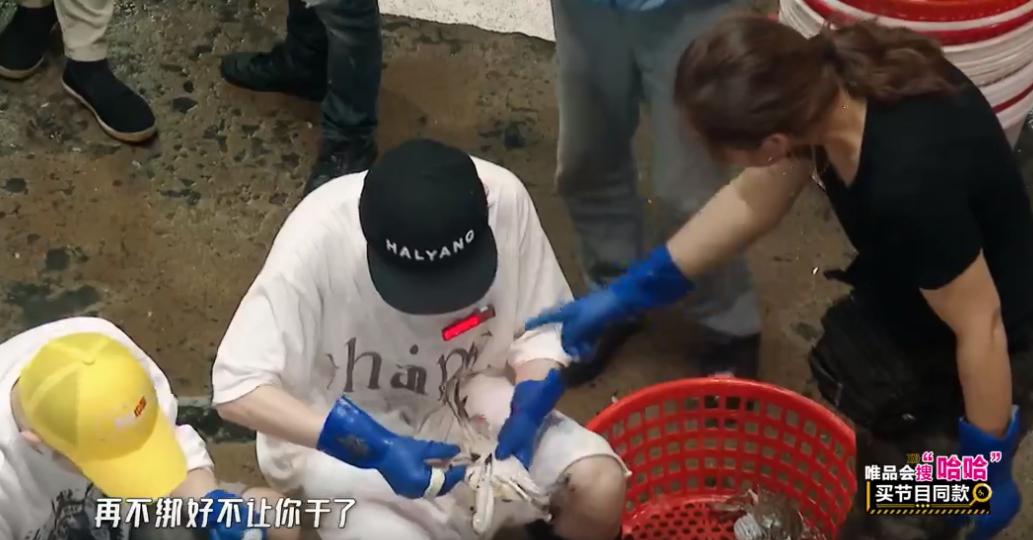 最新综艺鹿晗陈赫邓超,鹿晗邓超陈赫新综艺哈哈哈哈哈