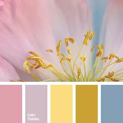 成为花艺师需要具备哪些条件,想当花艺师可以考什么学校