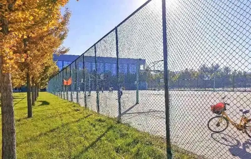 石家庄学院大一,来了石家庄