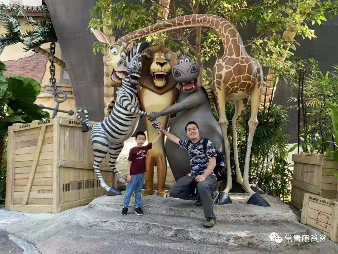 十一新加坡,十一游学新加坡