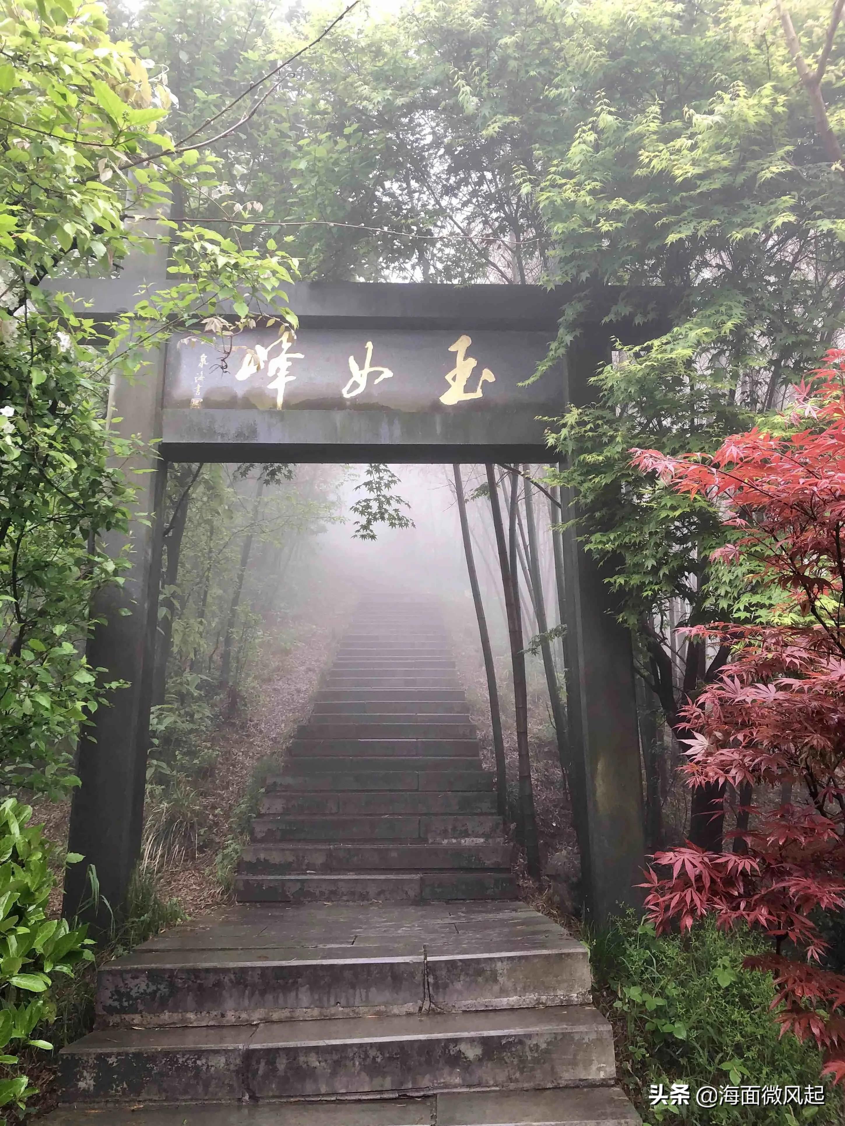 百里竹海森林氧吧,湖北宜兴竹海天然氧吧