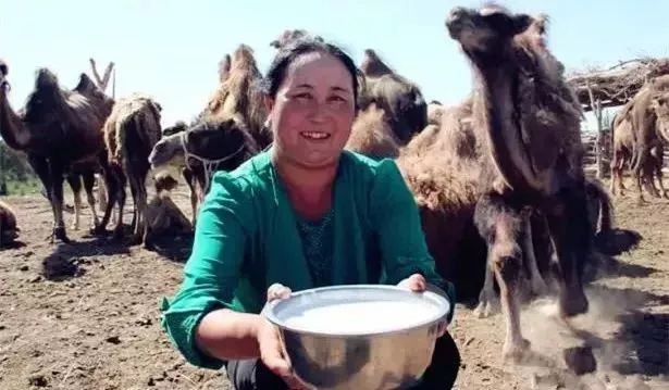 新疆本土最火的饮品,新疆十大必喝饮品