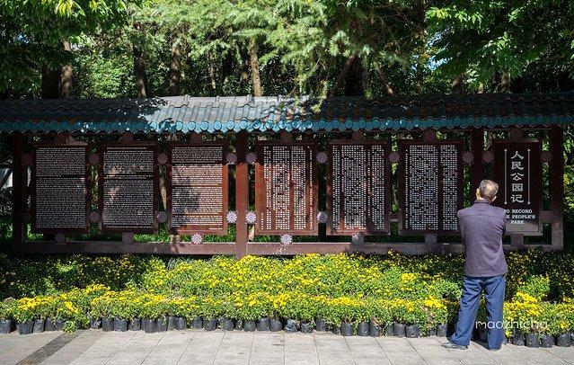 成都网红旅行攻略,四川成都新津最新网红打卡景点