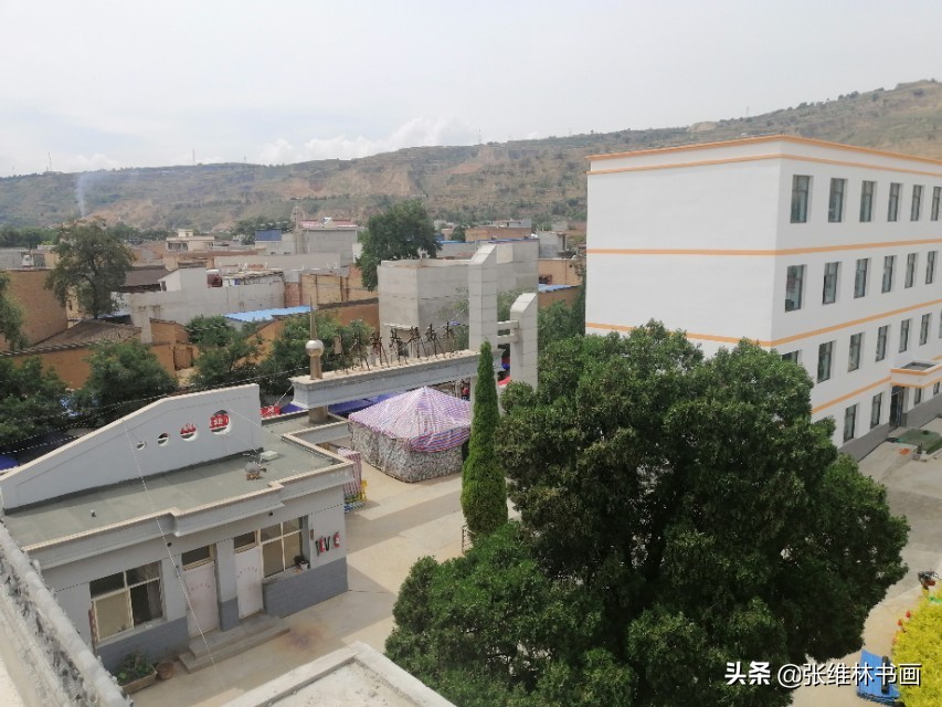 胡集镇伏羲学校,甘谷县永安伏羲学校五年级一班