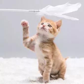 北京海淀区新建的公园,海淀新开放公园