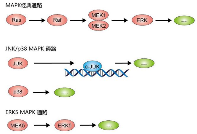 硬货的解析,硬货必买的10种
