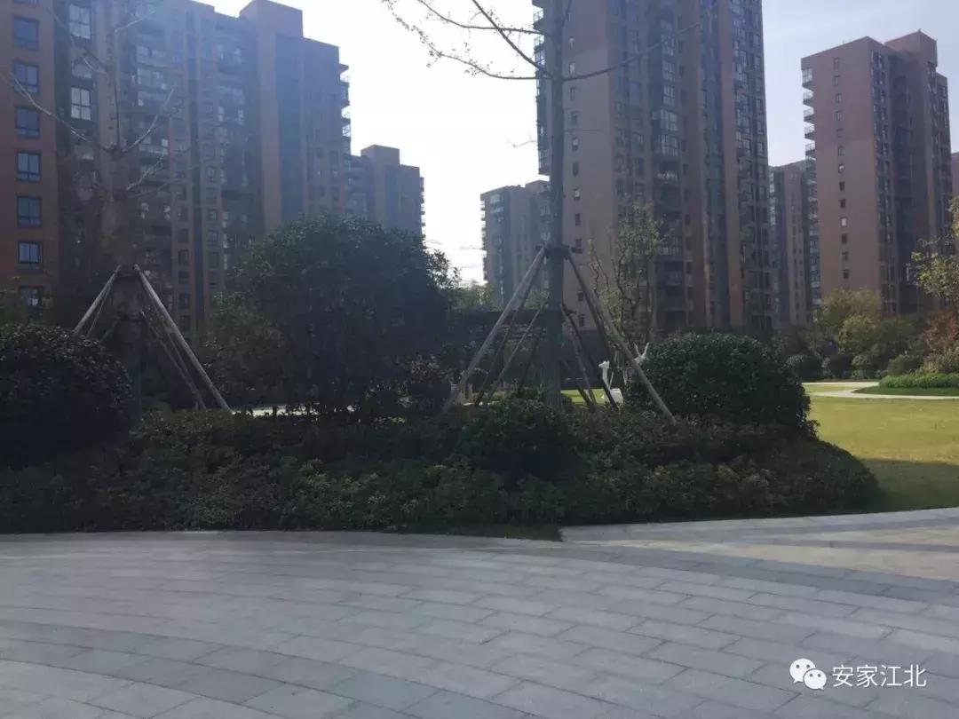 南京江北4号线新楼盘,南京地铁盘怎么样