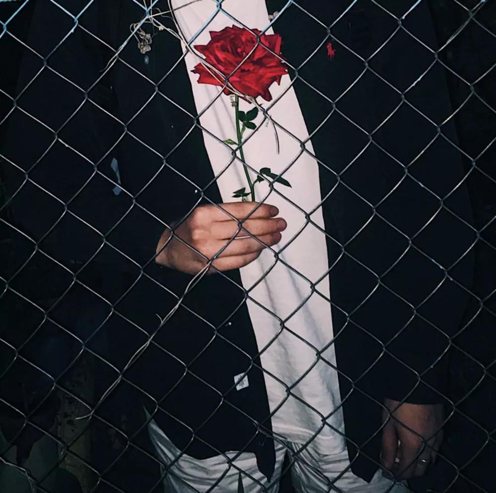 交际能力差是情商低吗,情商很低的人不懂交际