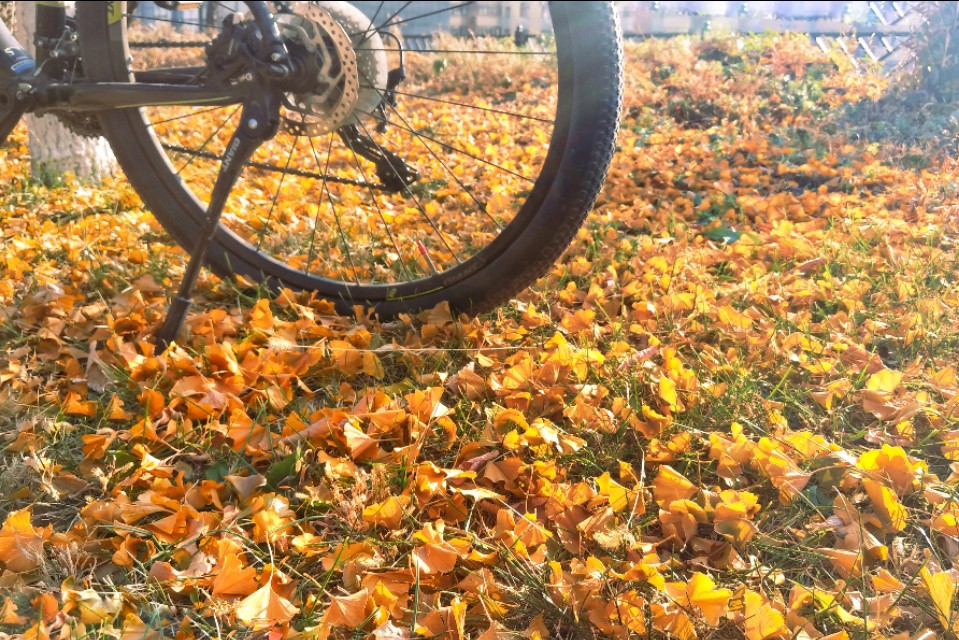 禧玛诺公路套件搭配,骑行爱好者都买什么自行车