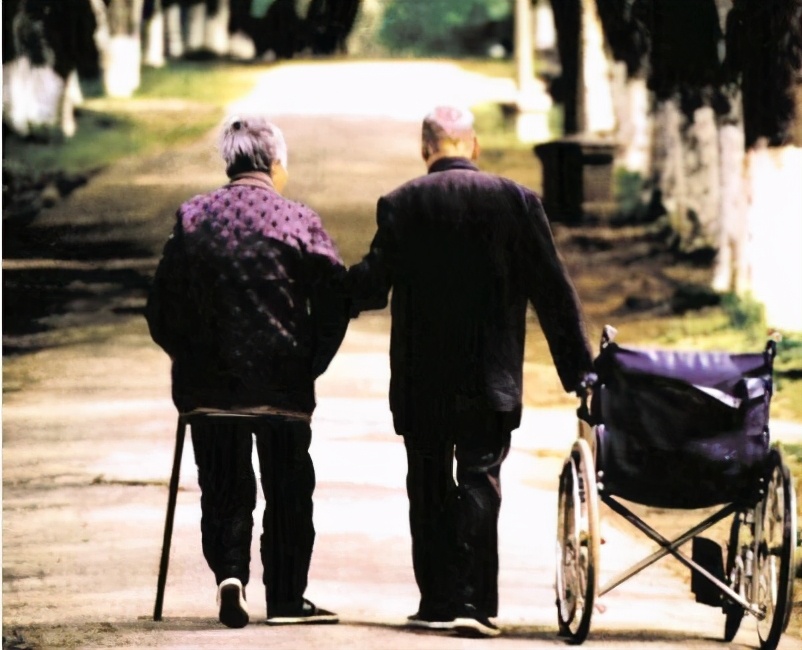 养儿防老成笑话电影,养儿防老将成为大笑话