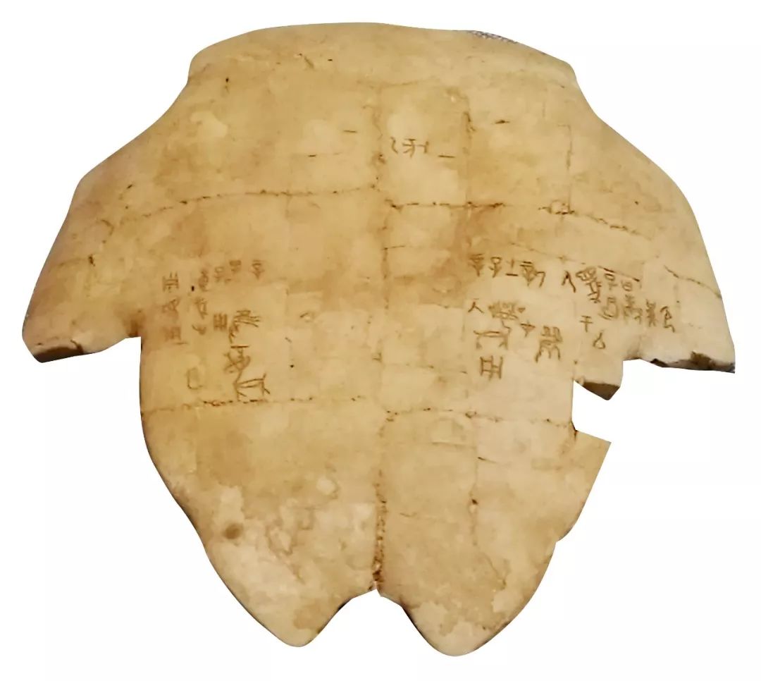 甲骨文书法图片大全,甲骨文书法图片高清