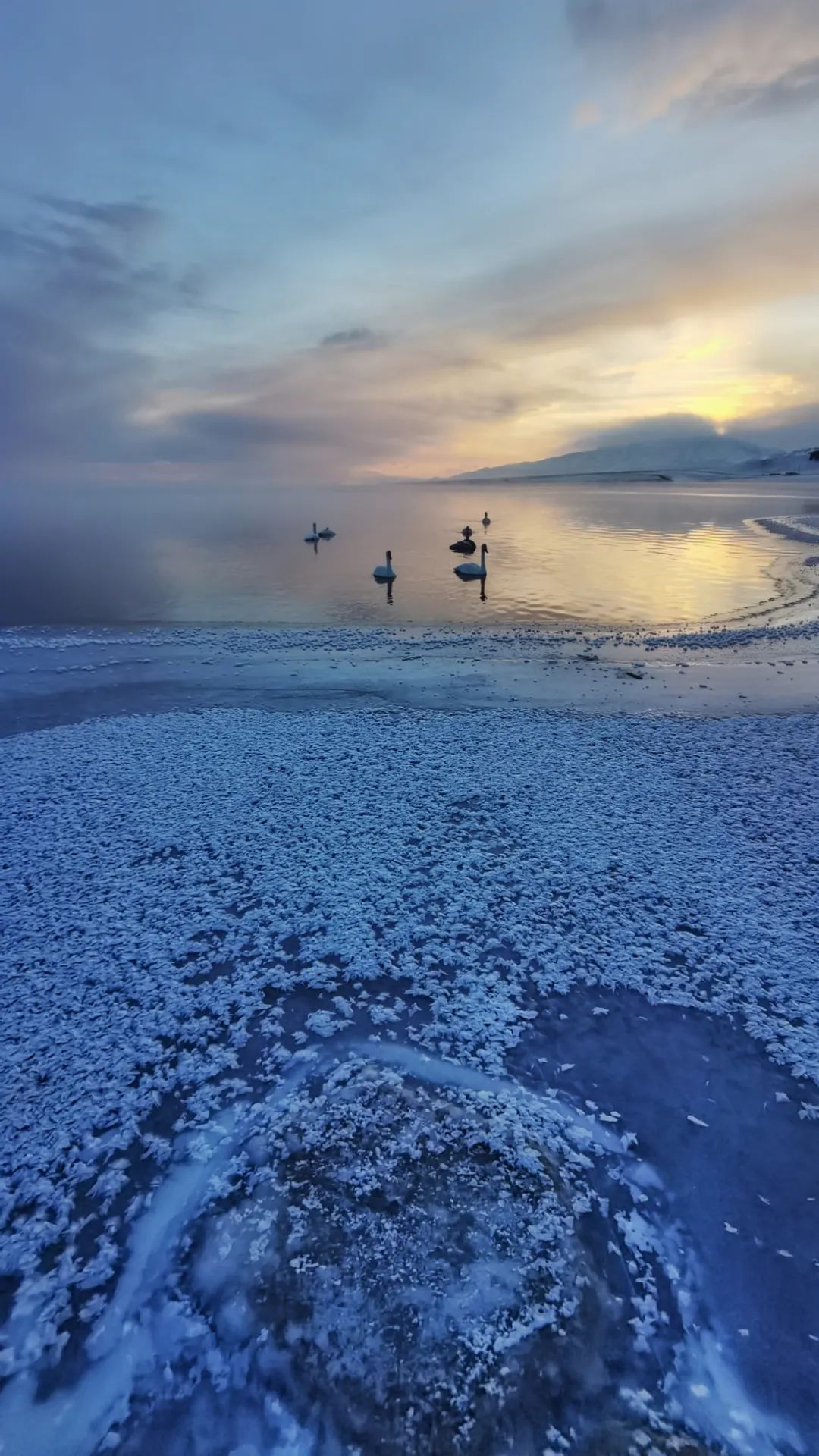 手机摄像头都有什么作用,手机各种摄像头有什么作用