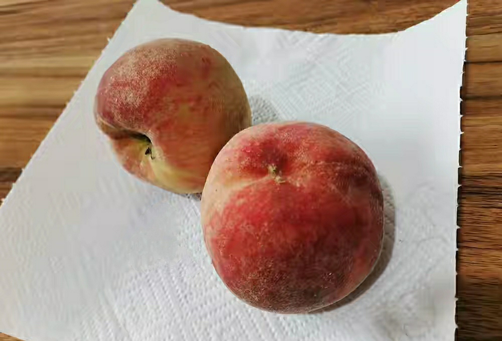 桃子放冰箱更容易坏吗,桃子放冷藏里为什么很快就坏了