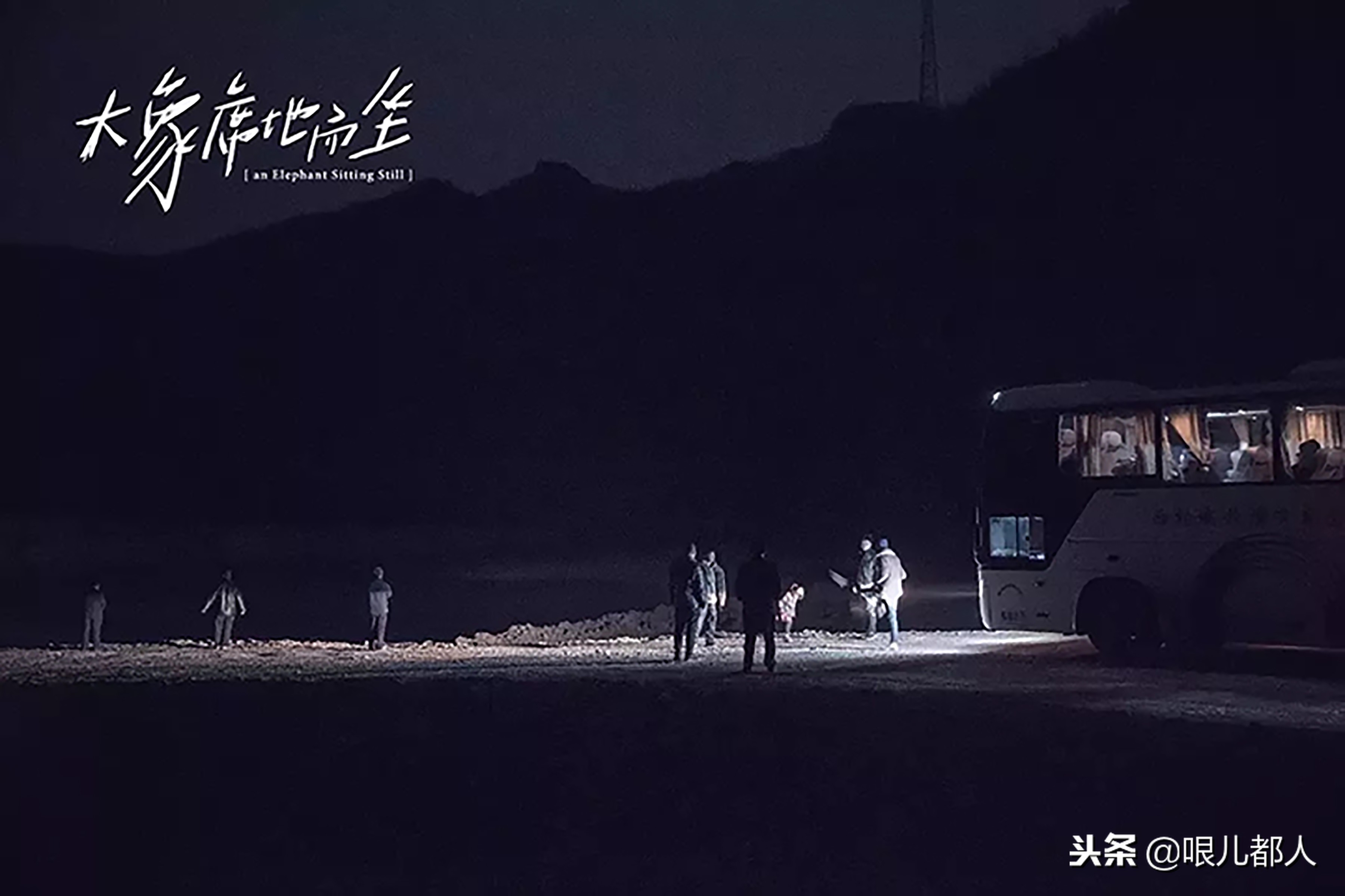 有人说，那只会席地而坐的大象是因为“腿折”了