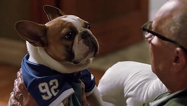 11季完结美剧,一口气看完系列高分美剧全集