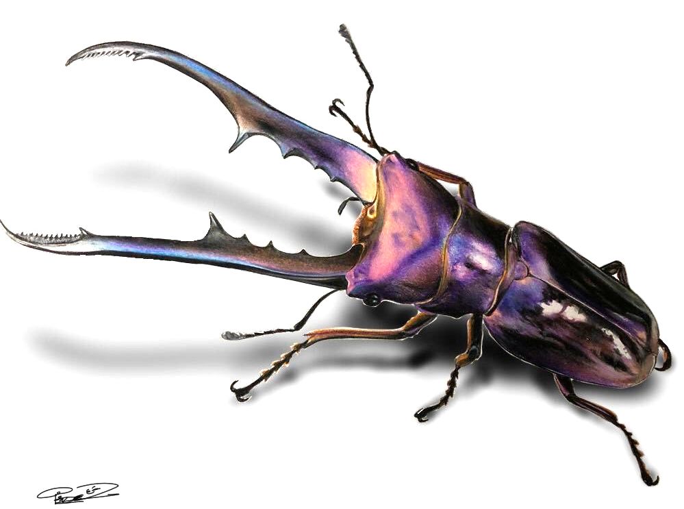 失明女孩铅笔画,手绘眼睛流泪铅笔画