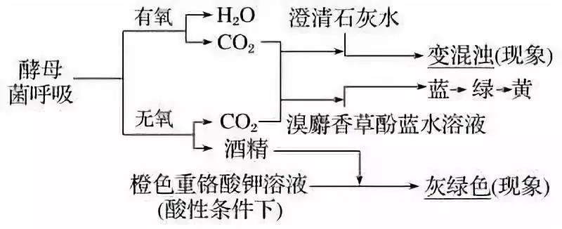 云南高中会考生物实验操作,生物显微镜实验视频高中