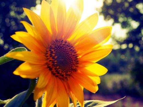 借钱给朋友迟迟不肯还应该怎么办,借钱忘了还如何提醒别人又不尴尬