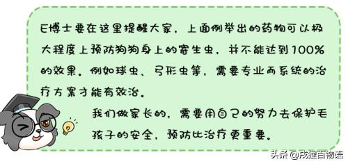 学习!狗狗的驱虫药,如何选择?