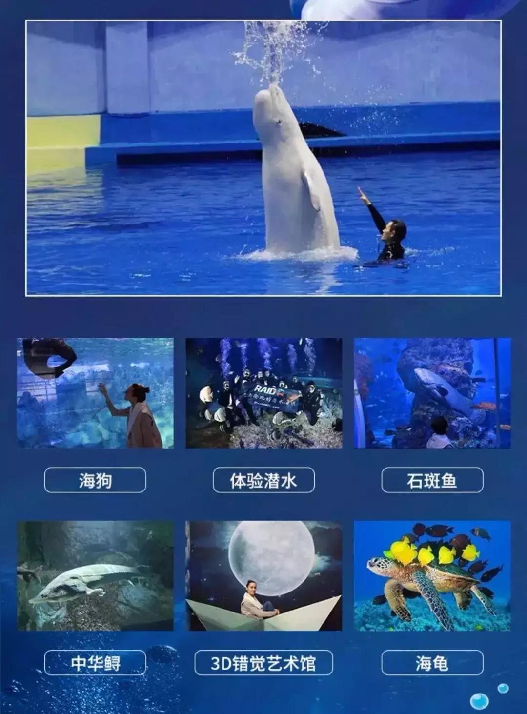 临沂极地海洋世界五一特惠,临沂极地海洋世界门票多少钱