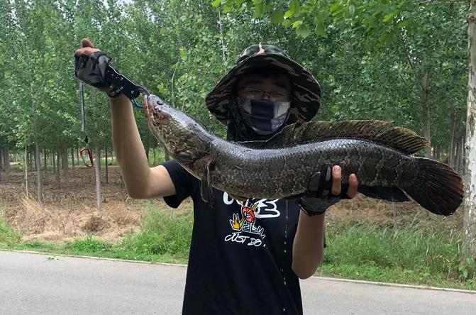 路亚钓鱼技巧新入门,路亚钓鱼进阶指南