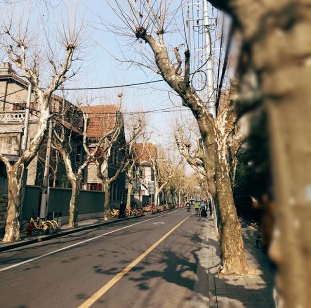 上海必去几条路攻略,上海值得去的路线