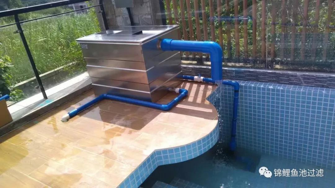 养锦鲤必备的一款鱼池过滤器,锦鲤鱼池过滤器自制方法