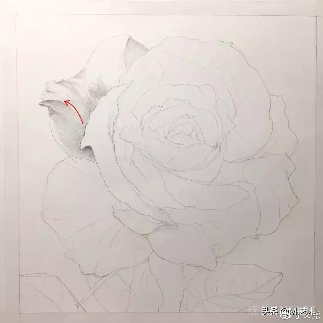 玫瑰花素描临摹高清图片,素描教程画花朵