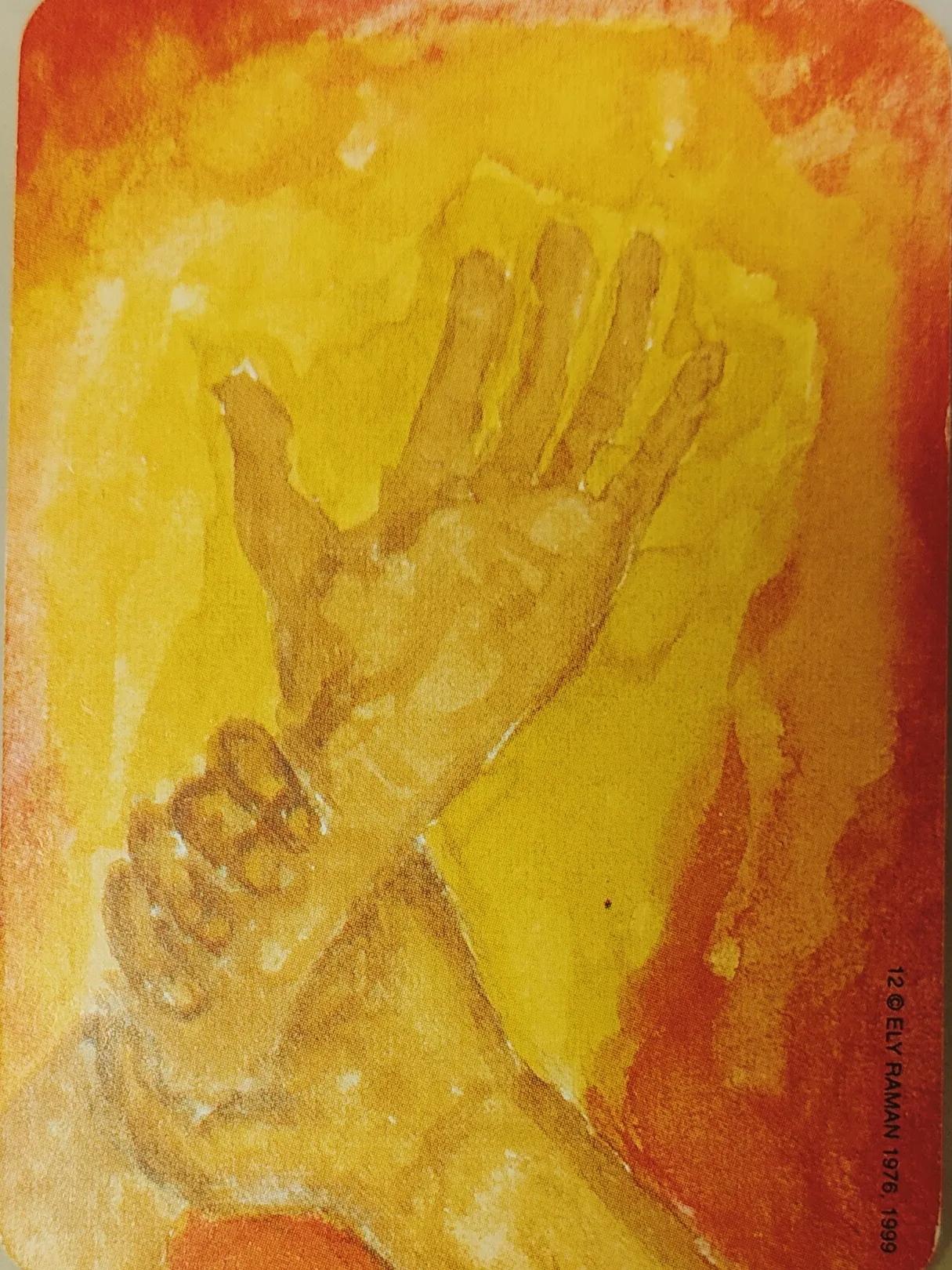 野孩子成长,野孩子1-24集