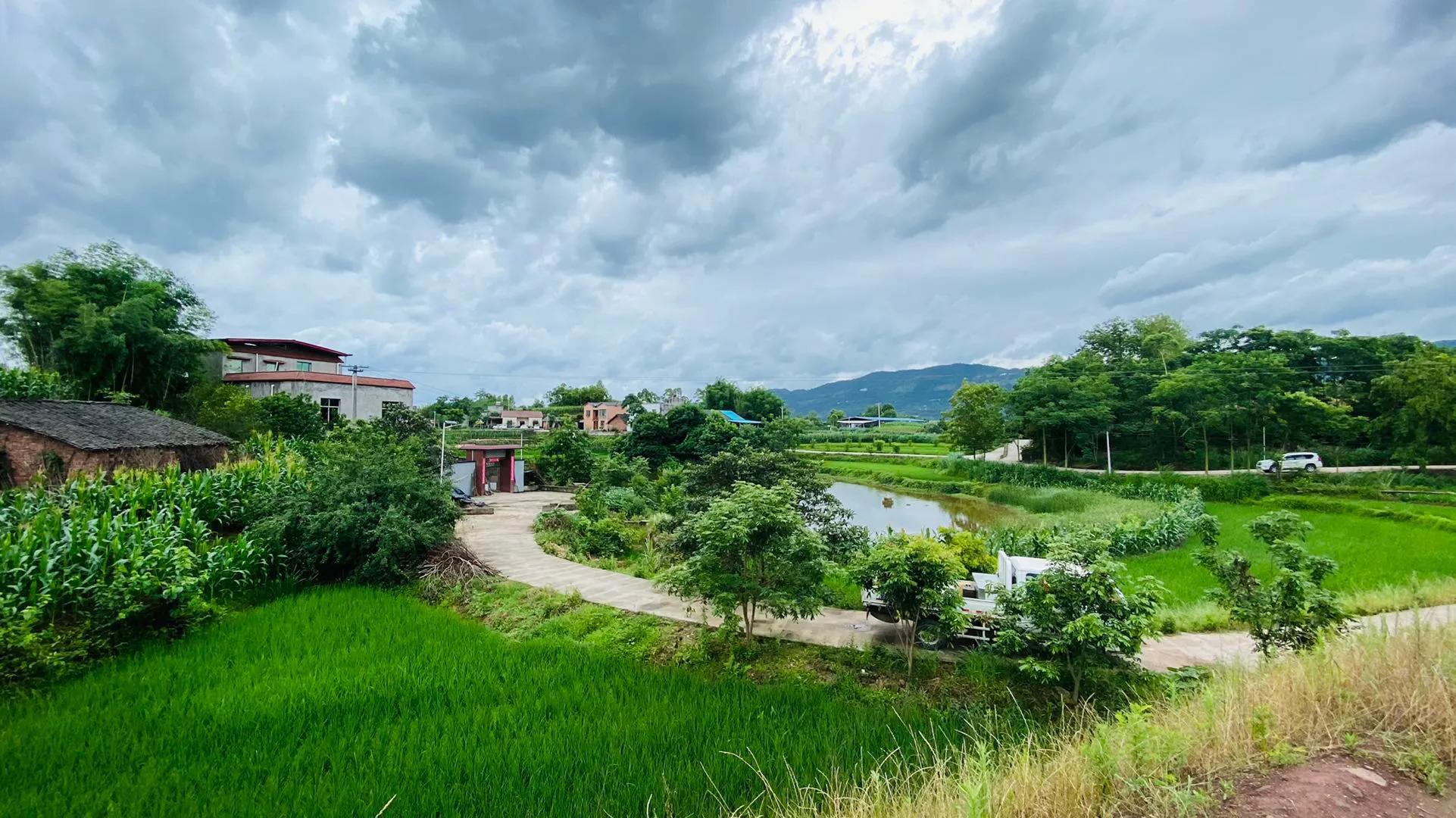 家乡门前的田野,家乡门前的一条河