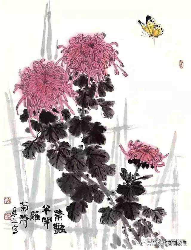 菊花花头花苞画法,菊花花头的画法步骤图片