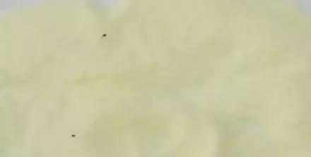 奶粉知识大合集|关于奶粉那些事，看完这篇就懂了