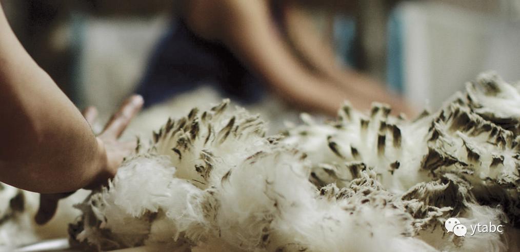 新西兰旅游适合买什么特产,1月新西兰旅游装备攻略