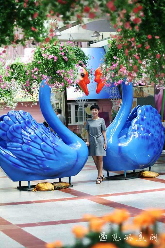 百万葵园有多坑,百万葵园免门票