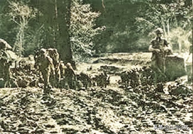 山河记忆简谱,山河记忆小说