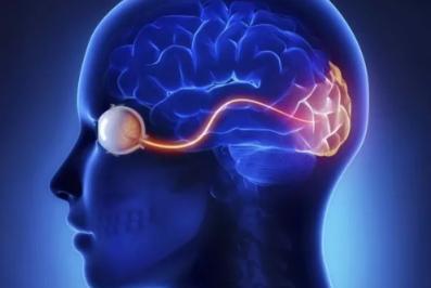 跳出色情陷阱（25）：影响个人与色情关系的促进因素之追求快感