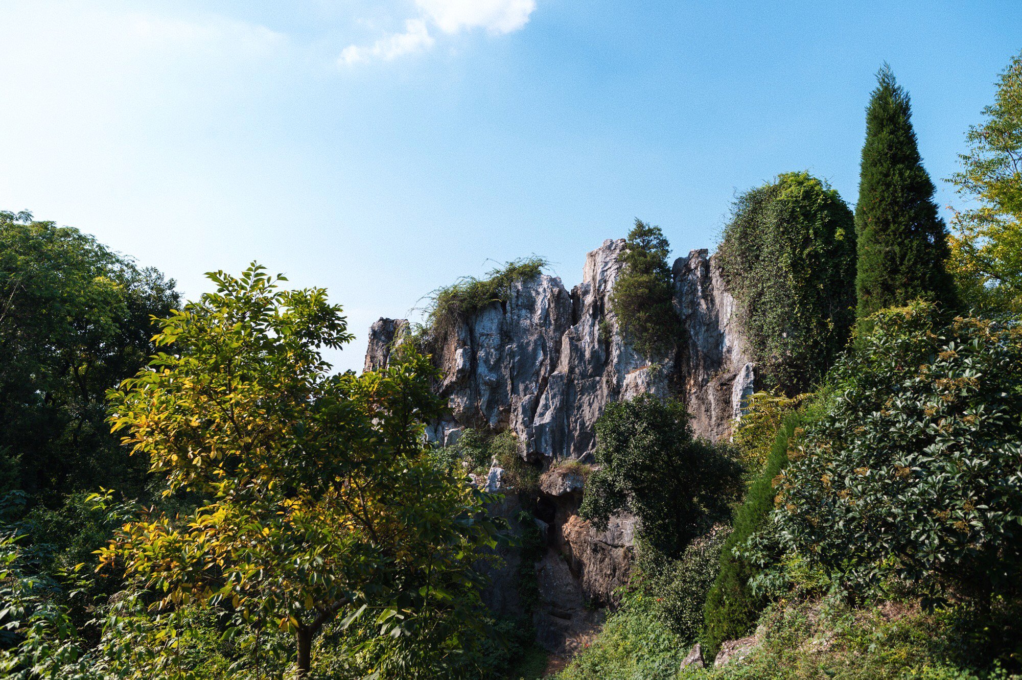 苏州太湖小众小岛,苏州被遗忘的太湖小岛
