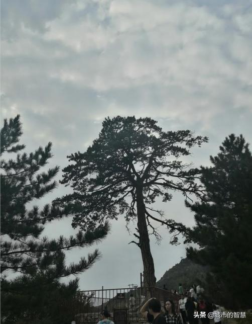 北岳恒山附近有什么旅游景点,山西北岳恒山门票多少钱