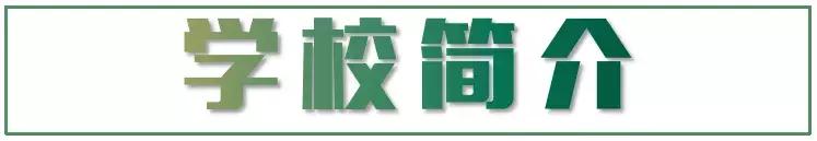 南京高中校园采访,南京市高中校园采访