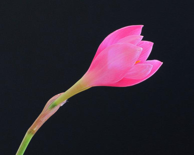 做人留三分说话留七分,话留三分软人留七分暖是什么意思