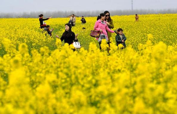 原创诗词14首,经典诗词36首