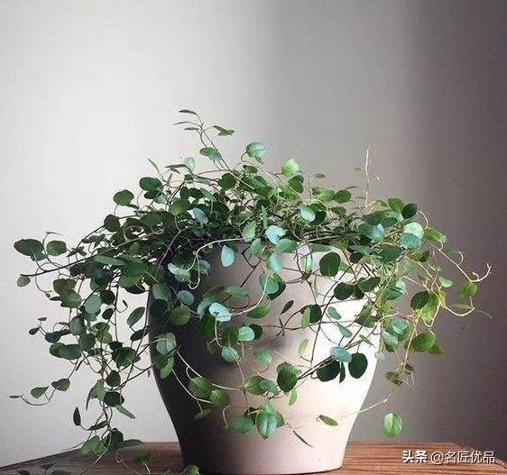 塑料旧手套,新买的手套被塑料和铁连在一起