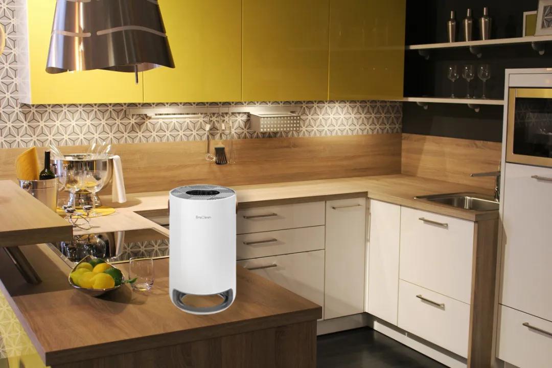 紫外空气消毒净化器,紫外线杀菌空气净化器