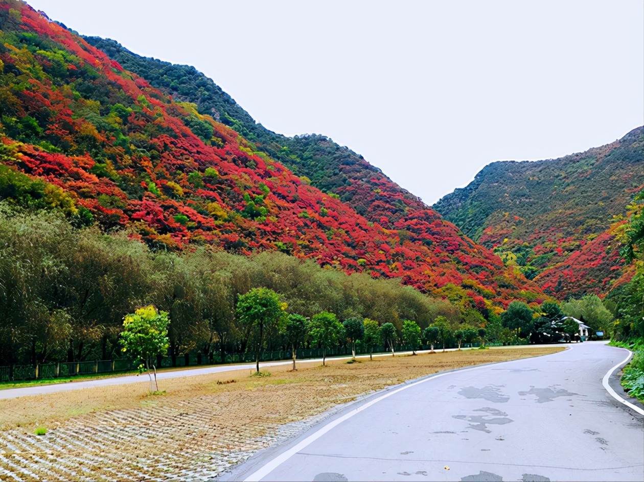 我为什么推荐你去十堰？