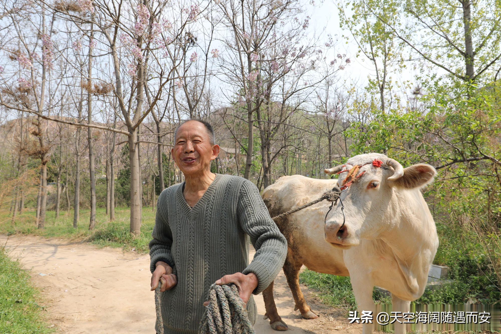 山西8旬大爷在农村做无本生意，3年净赚3万元，看他干的啥营生