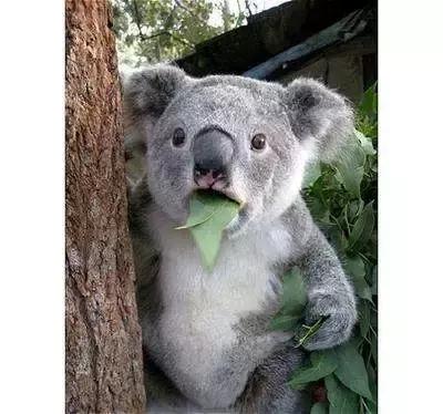 西安串串比拼,西安串串推荐测评