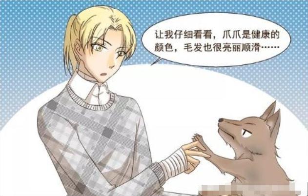 可爱又害羞搞笑漫画,搞笑漫画可爱少女心